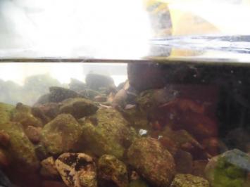 20150613-150907.jpg