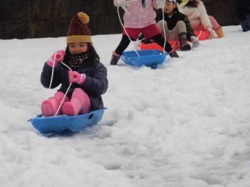 20160222-130259.jpg
