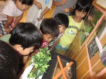 20200714-105303.jpg