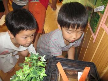 20200714-105532.jpg