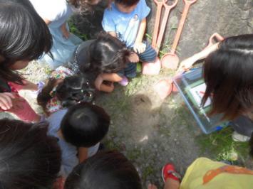 20200808-102704.jpg