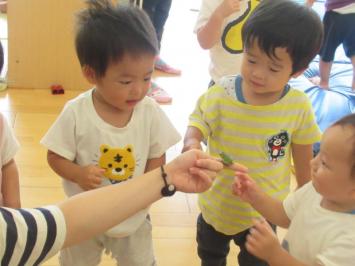 20200815-134757.jpg